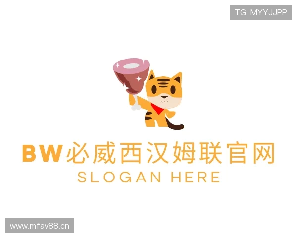 介绍bw必威西汉姆